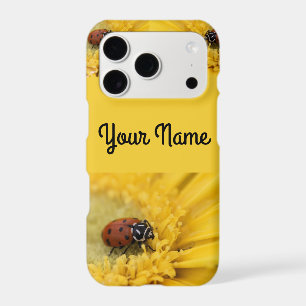 Ladybug