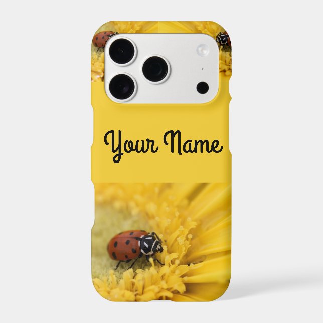 Ladybug   (Back)