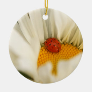 Ladybug and Daisy Ornament