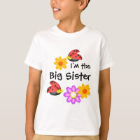 Ladybug and Flowers