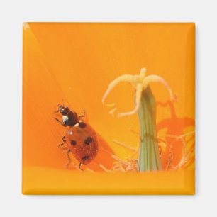 Ladybug and Poppy Magnet