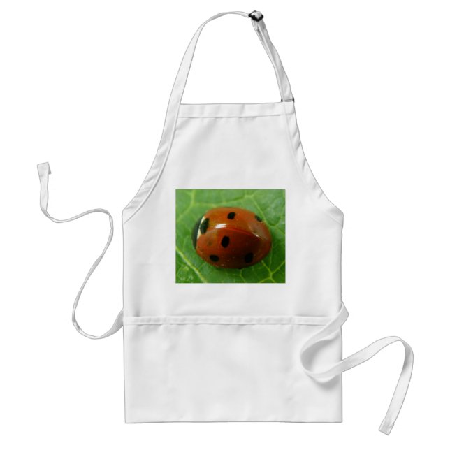 Ladybug Apron (Front)