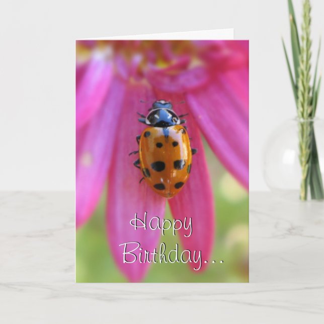 Ladybug Birthday Card (Front)