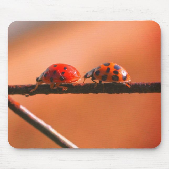 Ladybug Buddies Nature  Mouse Pad (Front)