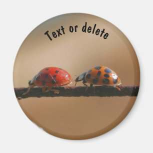 Ladybug Buddies Nature Personalised Magnet