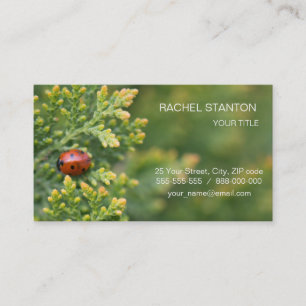 Ladybug Business Card