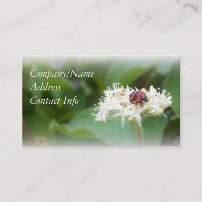 LadyBug Business Card (Front)