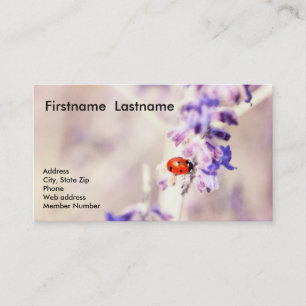 Ladybug Business Card