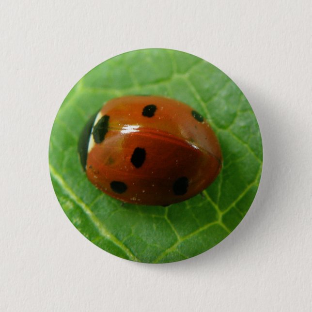 Ladybug Button (Front)