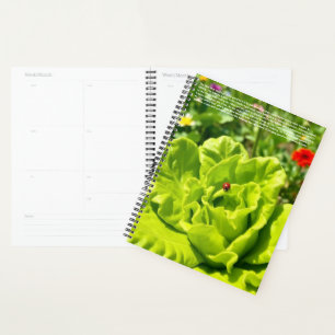 Ladybug Calendar Planner
