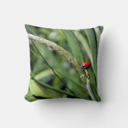 Ladybug (Coccinellidae) Cushion