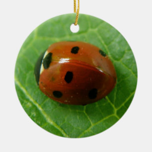 Ladybug Custom Birthday Ceramic Tree Decoration