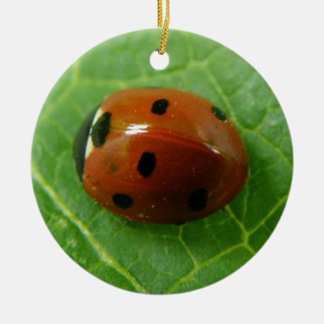 Ladybug Custom Birthday Ceramic Tree Decoration (Front)