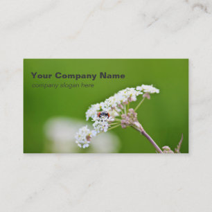 Ladybug Custom Business Cards