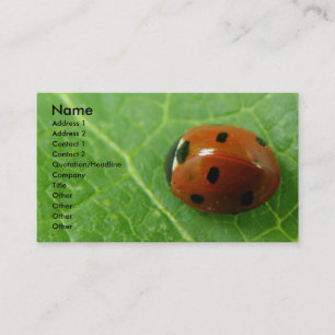 Ladybug Customisable Business Card
