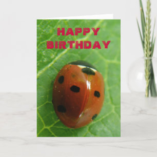 Ladybug Customisable Greeting Card