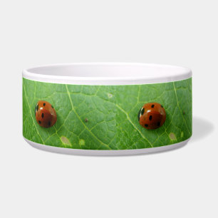 Ladybug Dog Bowl
