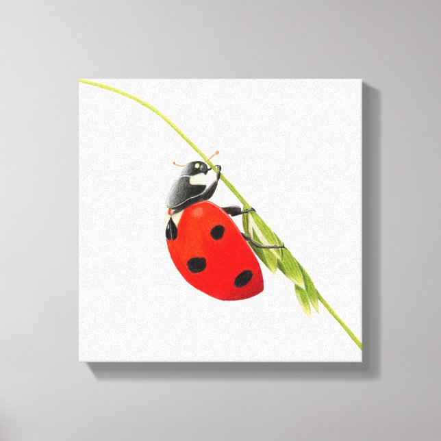 Ladybug drawing  canvas print (Front)