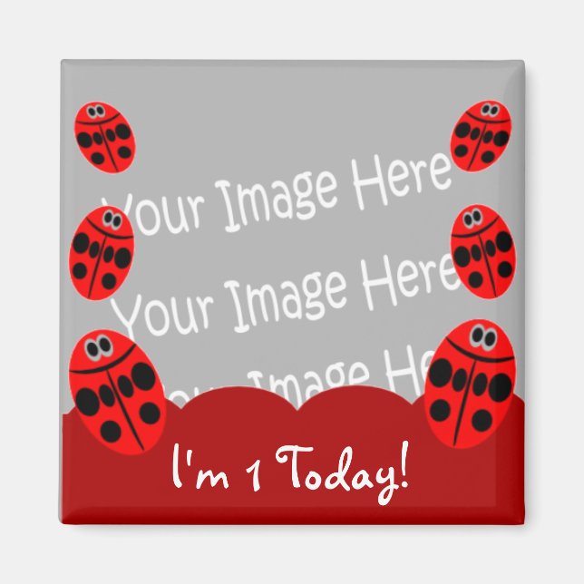 Ladybug First Birthday Photo Magnet Party Favours (Front)