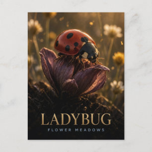 Ladybug Flower Meadows Wildlife ANIMAL Postcard