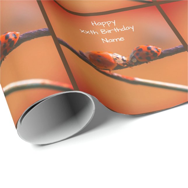 Ladybug Friends Nature Personalised Birthday  Wrapping Paper (Roll Corner)