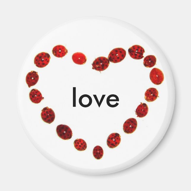 Ladybug Heart Love Magnet (Front)