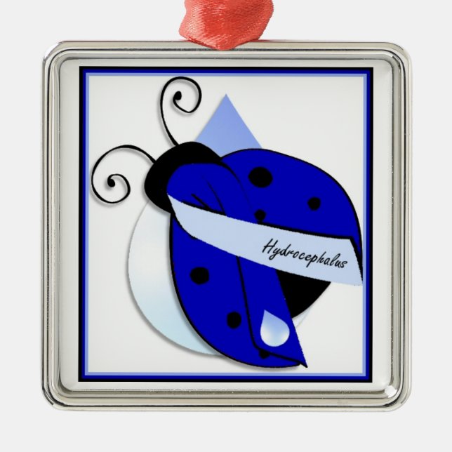 Ladybug Hydrocephalus Ornament (Front)