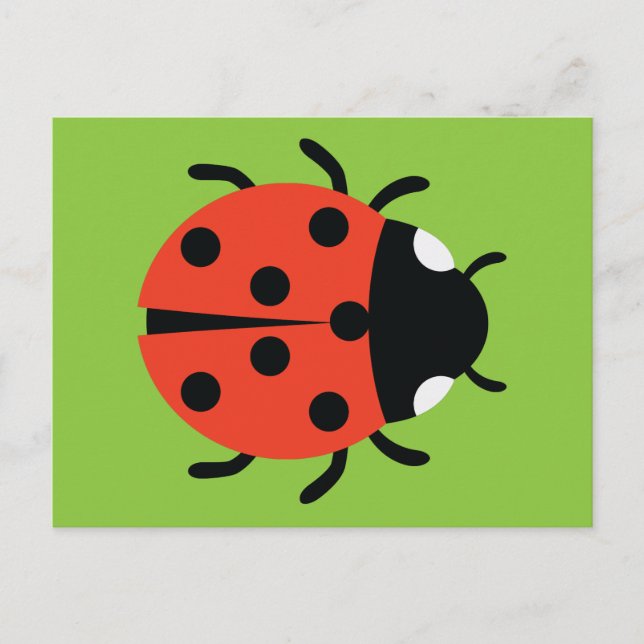 Ladybug Illustration Postcard (Front)