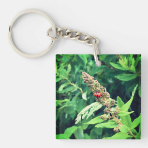 Ladybug in Spring Key Ring