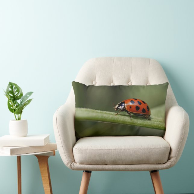 Ladybug Insect Lumbar Cushion (Chair)