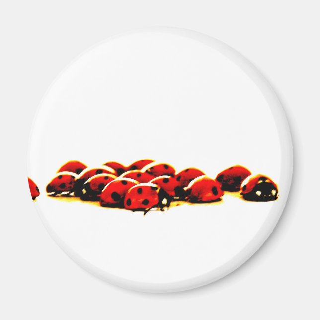 ladybug invasion magnet (Front)