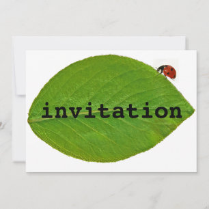 Ladybug Invitation