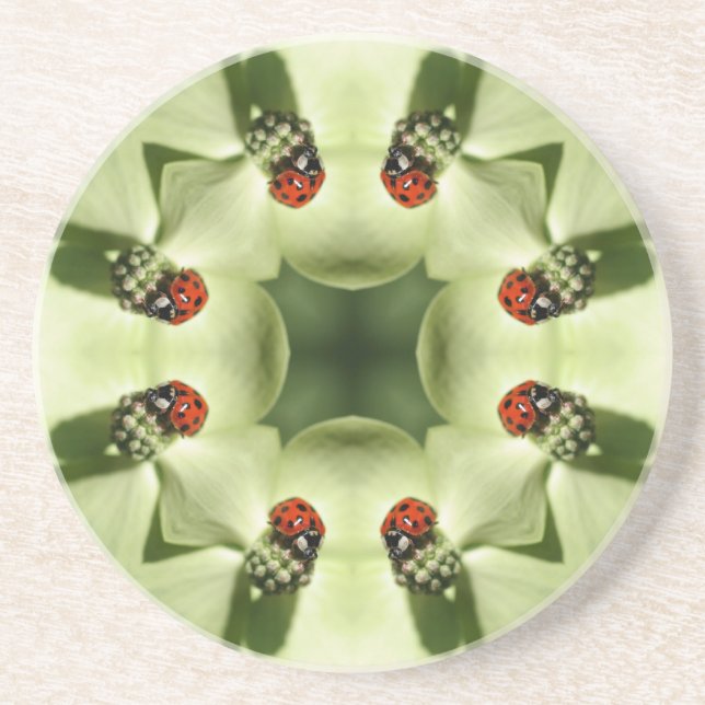 Ladybug Kaleidoscope Animal Coaster (Front)