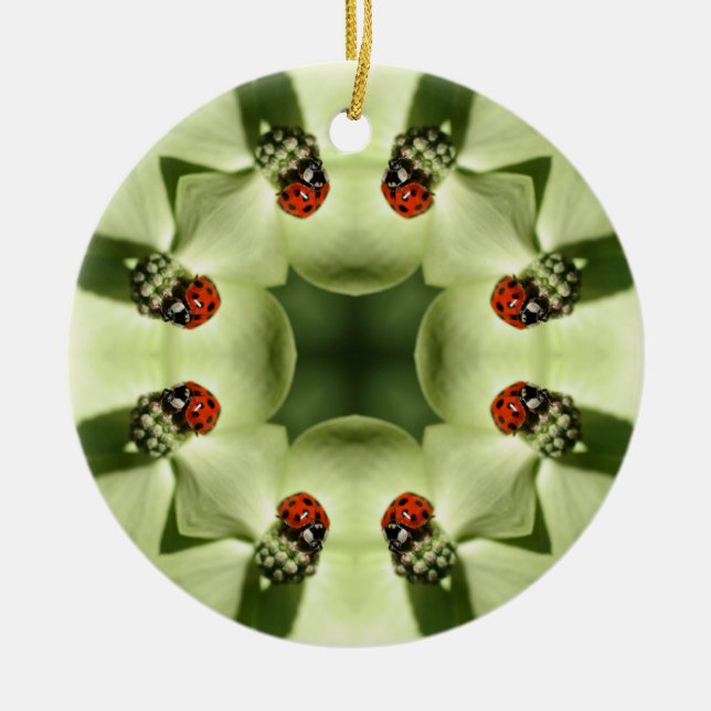 Ladybug Kaleidoscope Nature Ornament (Front)
