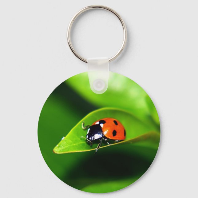 Ladybug Key Ring (Front)