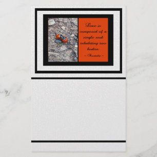 Ladybug Kisses Stationery