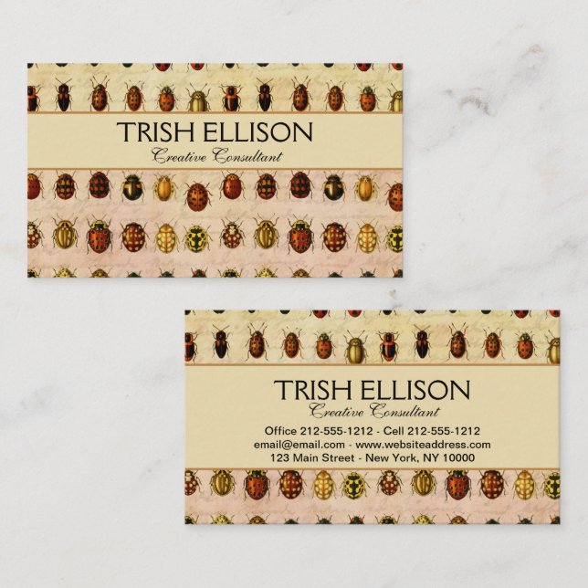 Ladybug Ladybird Beetle Insect Bug Business Card (Front/Back)