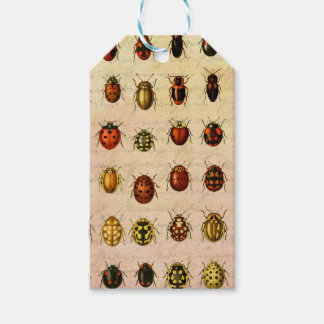 Ladybug Ladybird Beetle Insect Bug Gift Tags