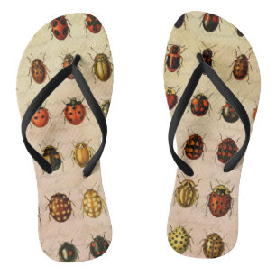 Ladybug Ladybird Beetle Insect Bug Jandals