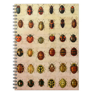 Ladybug Ladybird Beetle Insect Bug Notebook
