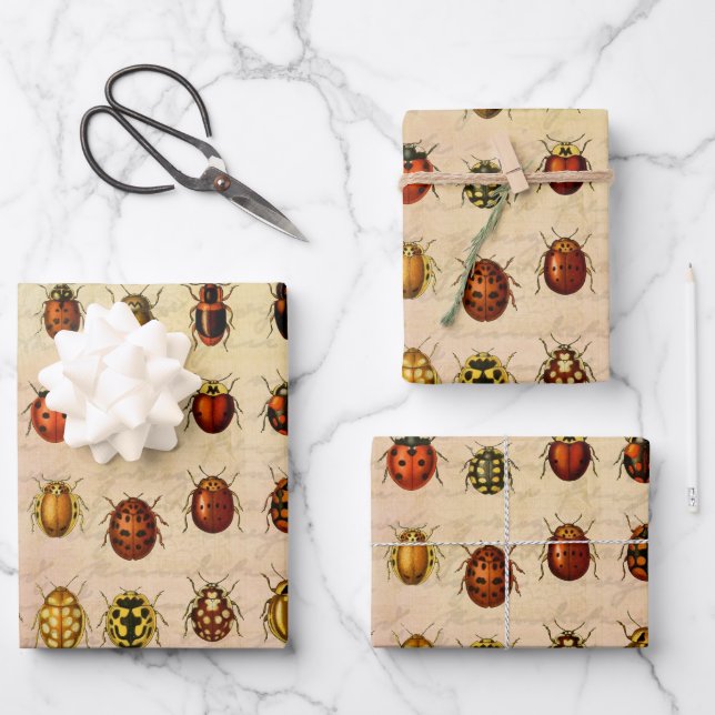 Ladybug Ladybird Beetle Insect Bug Wrapping Paper Sheet (Front)