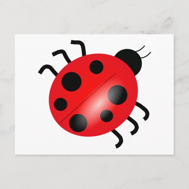 Ladybug - Ladybird Postcard (Front)