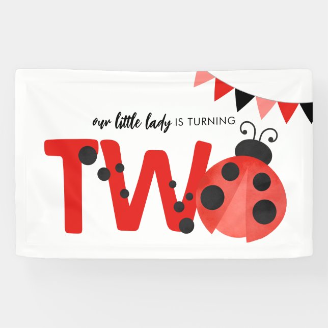 Ladybug "Little Lady is Two" 2nd Birthday Banner (Horizontal)
