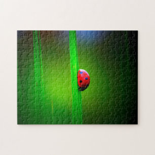 Ladybug Macro Colourful, Jigsaw Puzzle