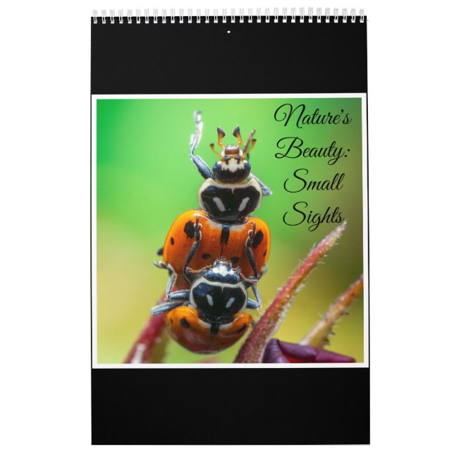Ladybug Macro Nature Art Photography Calendar 2026 (Cover)