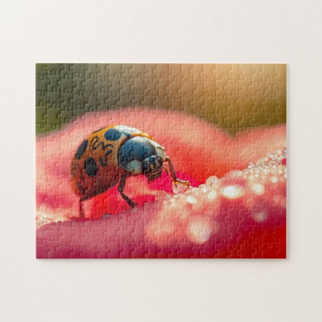 Ladybug macro on a flower jigsaw puzzle (Horizontal)