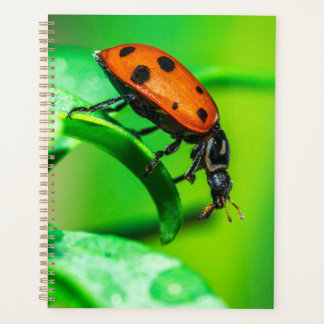 Ladybug Macro Planner Nature-Inspired Daily Notes