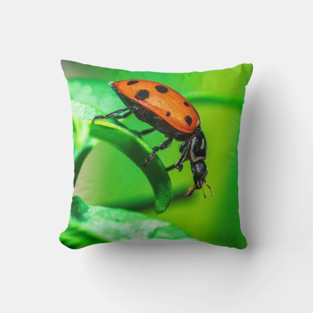 Ladybug Macro Throw Pillow Nature-Inspired Decor (Front)
