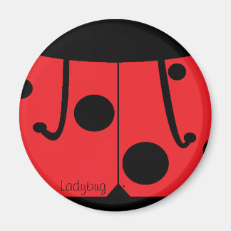 Ladybug magnets