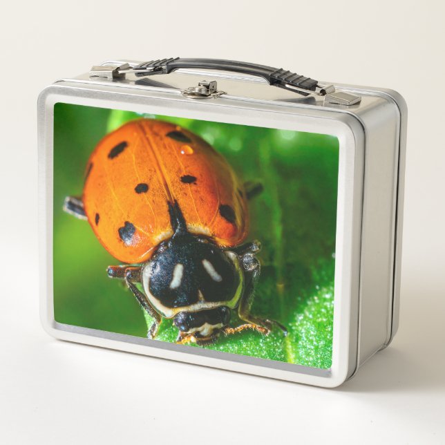 Ladybug Metal Lunchbox | Macro Nature Design (Front)